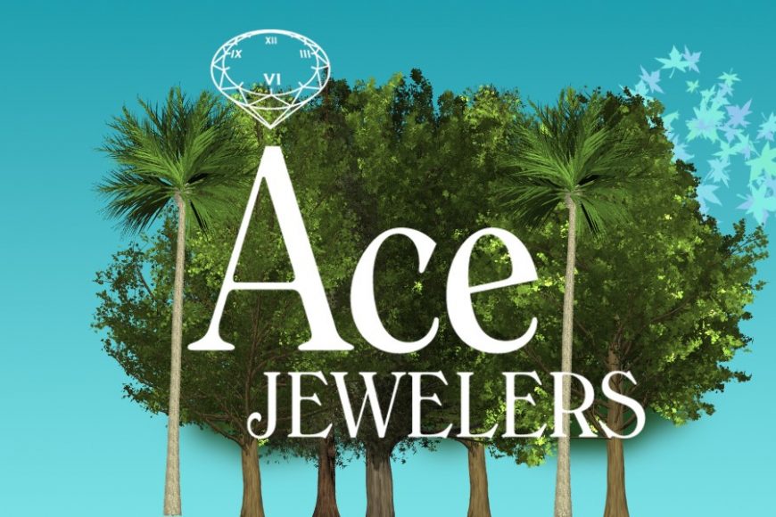 Ace the jeweler website sale